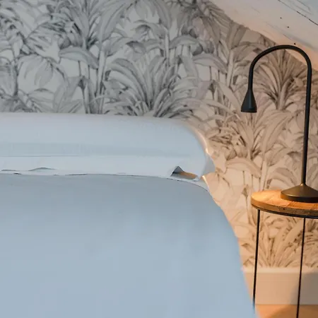 Apartment Beethoven & Vivaldi By Toh Solution